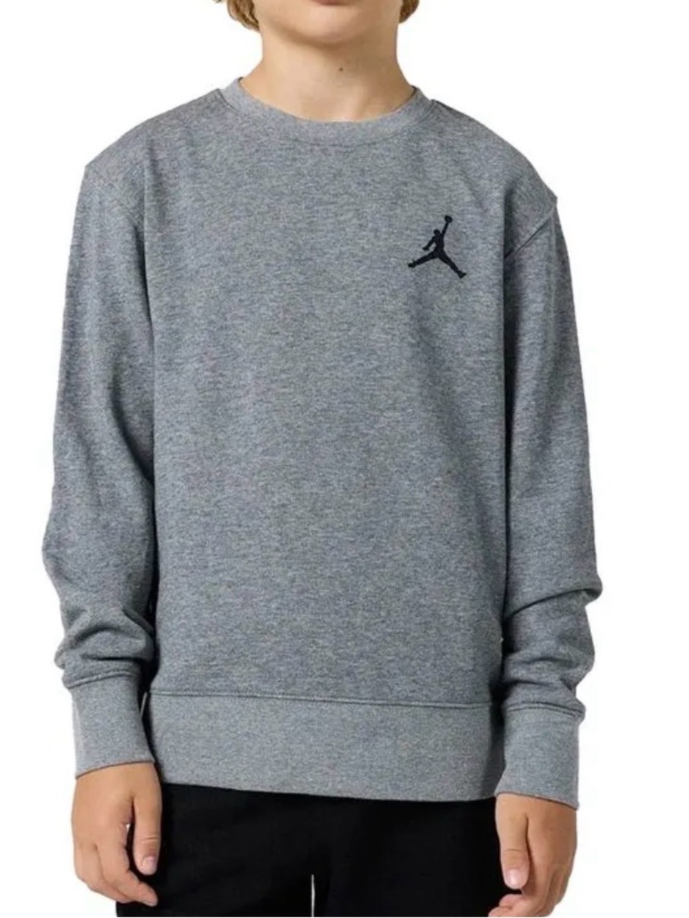 Nike Air Jordan crewneck sweatshirt